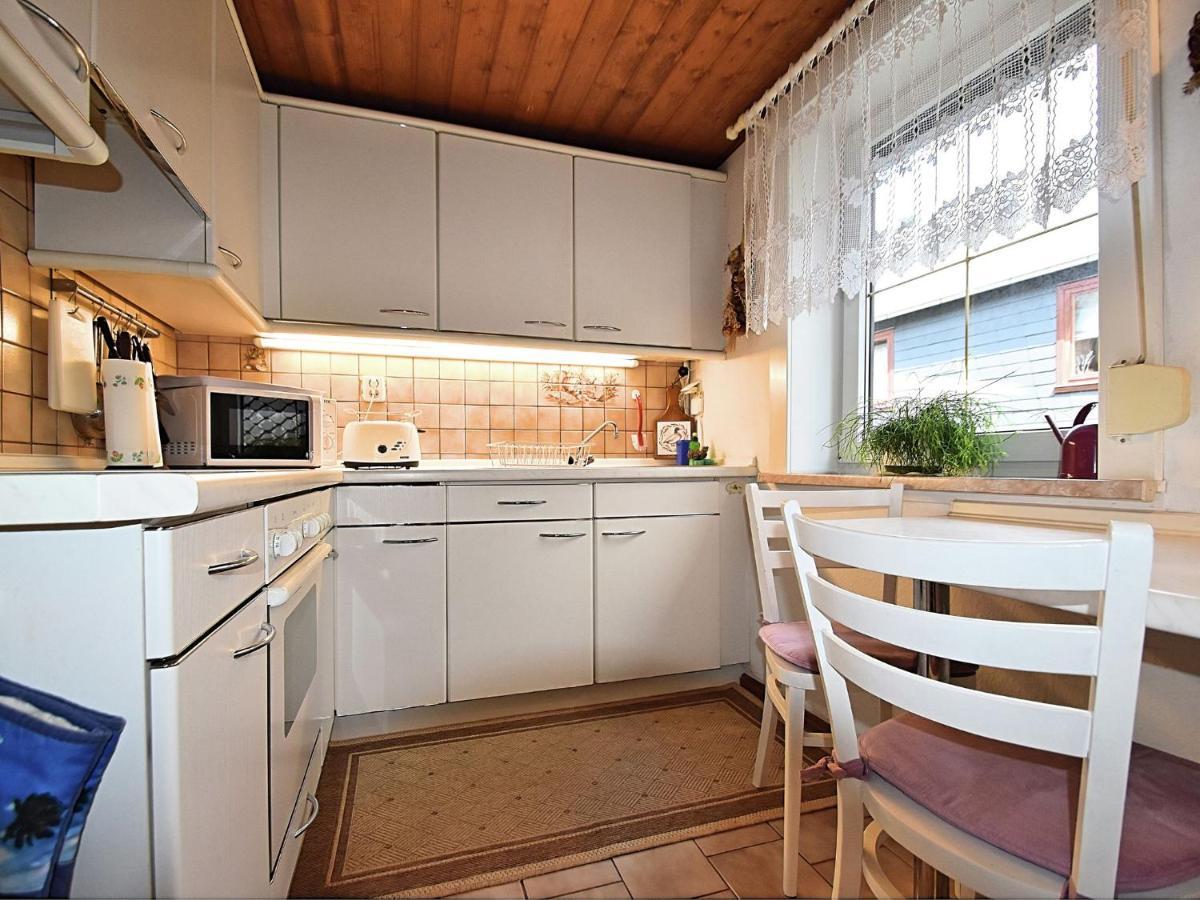 Apartment In Thuringian Forest With Garden Oberweißbach Zewnętrze zdjęcie